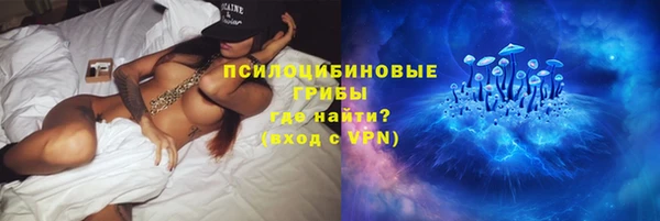МДПВ Горно-Алтайск