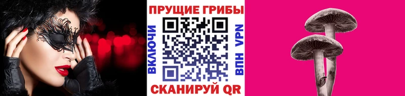 Галлюциногенные грибы GOLDEN TEACHER  Новочеркасск 