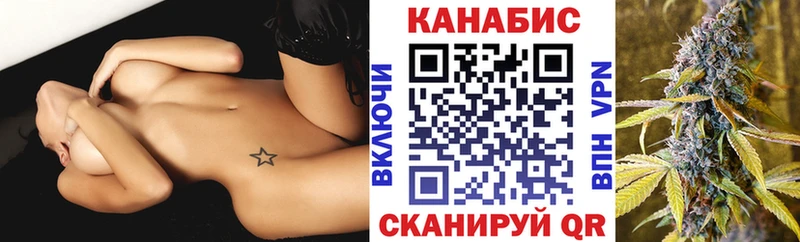 где купить наркотик  ОМГ ОМГ сайт  Бошки марихуана тримм  Новочеркасск 